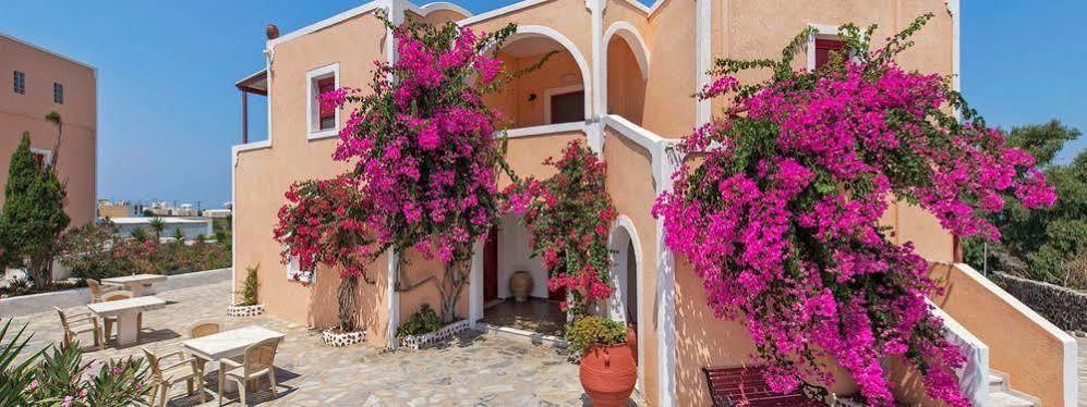 Pension The Flower Foinikiá Exterior photo